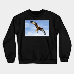 Soaring Red Kite Crewneck Sweatshirt